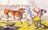 бой с быком - Bull-baiting, Henry Alken, 1820